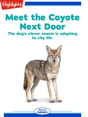 cover image of Meet the Coyote Next Door